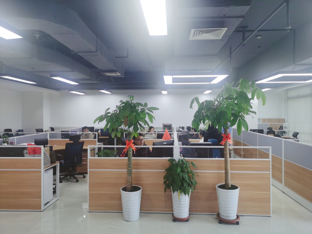 国产睡熟迷奷系列精品