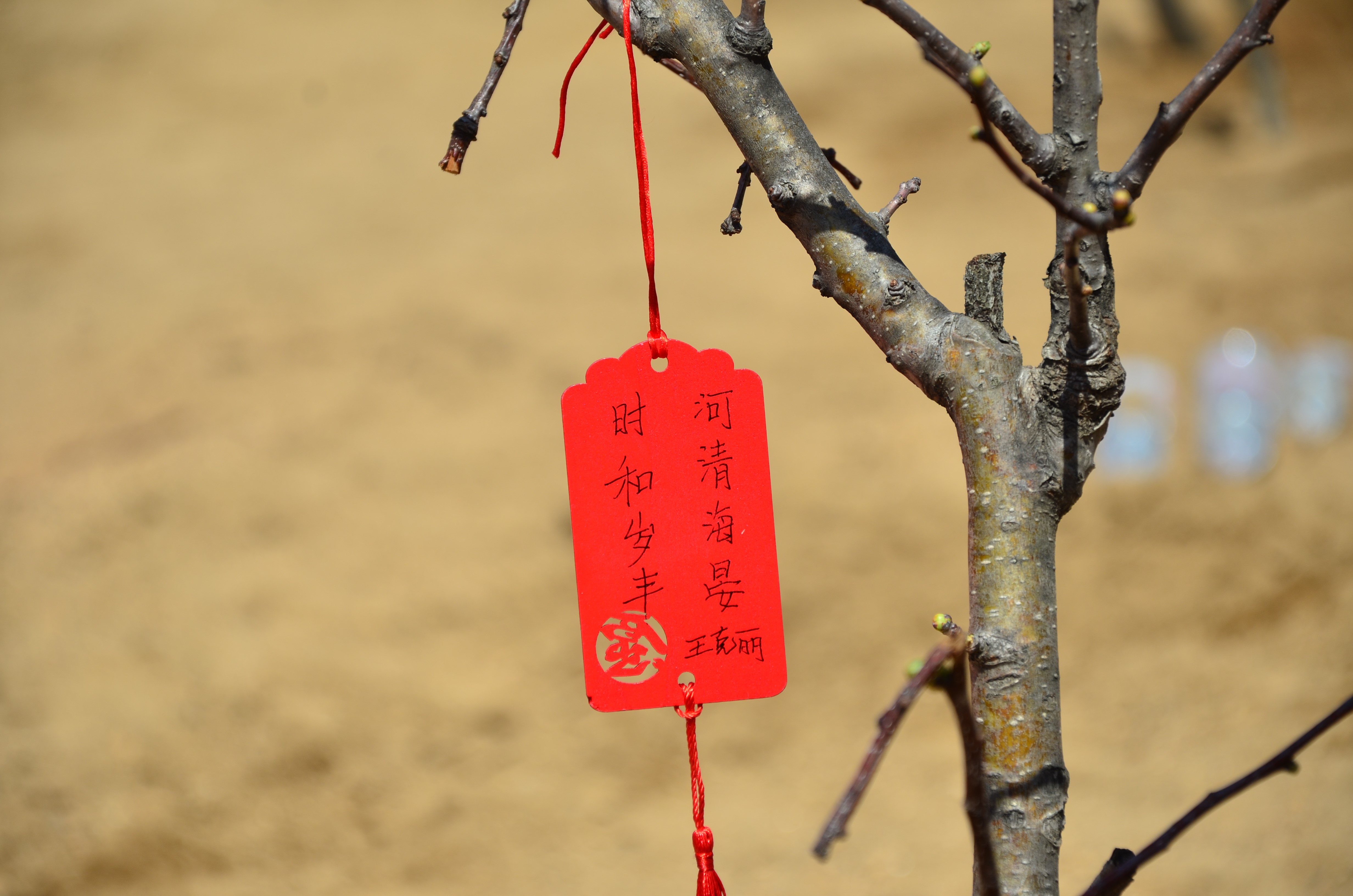 国产睡熟迷奷系列精品